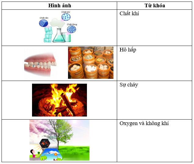 Giáo án KHTN 6 Bài 9: Oxygen | Giáo án Khoa học tự nhiên 6 Chân trời sáng tạo