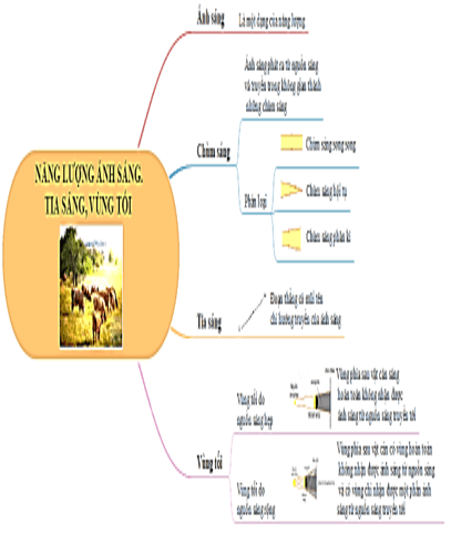 Giáo án KHTN 7 Bài 15: Năng lượng ánh sáng. Tia sáng, vùng tối | Giáo án Khoa học tự nhiên 7 Kết nối tri thức (ảnh 21)