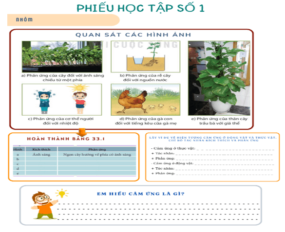 Giáo án KHTN 7 Bài 33: Cảm ứng ở sinh vật và tập tính ở động vật | Giáo án Khoa học tự nhiên 7 Kết nối tri thức (ảnh 2)