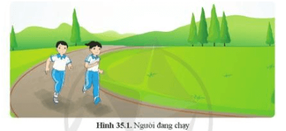 Giáo án KHTN 7 Bài 35: Sự thống nhất về cấu trúc và các hoạt động sống trong cơ thể sinh vật | Giáo án Khoa học tự nhiên 7 Cánh diều