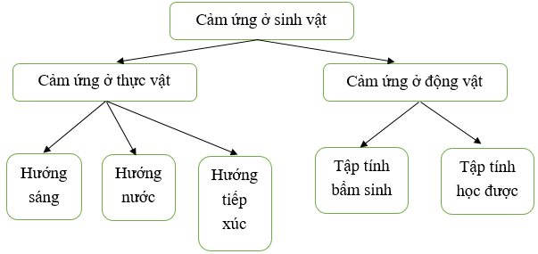 Giáo án KHTN 7 Bài tập Chủ đề 9, 10, 11, 12 | Giáo án Khoa học tự nhiên 7 Cánh diều