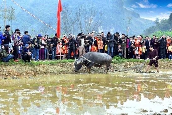 Giáo án bài Nếu mai em về Chiêm Hóa | Giáo án Ngữ Văn 8 Cánh diều