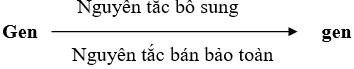 Giáo án Sinh học 12 Bài 23: Ôn tập phần di truyền học | Giáo án Sinh học 12 mới, chuẩn nhất