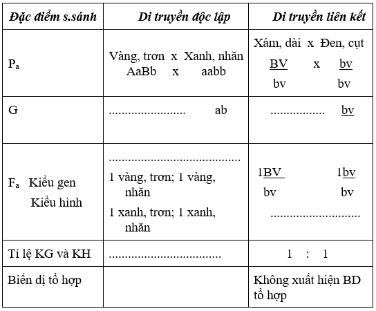 Giáo án Sinh học 9 Bài 13: Di truyền liên kết | Giáo án Sinh học 9 mới, chuẩn nhất