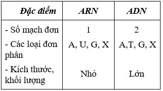 Giáo án Sinh học 9 Bài 17: Mối quan hệ giữa gen và ARN | Giáo án Sinh học 9 mới, chuẩn nhất