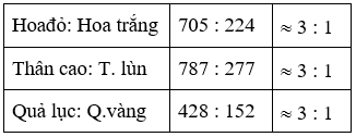 Giáo án Sinh học 9 Bài 2: Lai một cặp tính trạng | Giáo án Sinh học 9 mới, chuẩn nhất