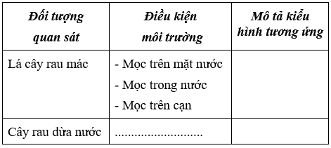 Giáo án Sinh học 9 Bài 25: Thường biến | Giáo án Sinh học 9 mới, chuẩn nhất