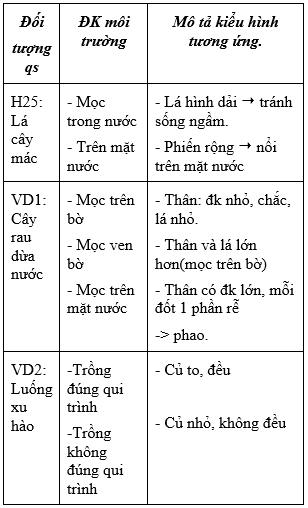 Giáo án Sinh học 9 Bài 25: Thường biến | Giáo án Sinh học 9 mới, chuẩn nhất