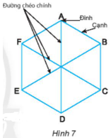 Giáo án Toán 6 Bài 1: Hình vuông - Tam giác đều - Lục giác đều | Chân trời sáng tạo