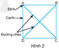 Giáo án Toán 6 Bài 1: Hình vuông - Tam giác đều - Lục giác đều | Chân trời sáng tạo