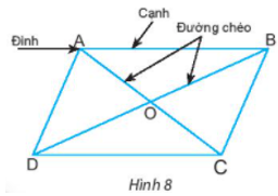 Giáo án Toán 6 Bài 2: Hình chữ nhật - Hình thoi - Hình bình hành - Hình thang cân | Chân trời sáng tạo