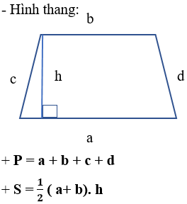 Giáo án Toán 6 Bài 3: Chu vi và diện tích của một số hình trong thực tiễn | Chân trời sáng tạo