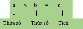 Giáo án Toán 6 Bài 4: Phép nhân, phép chia các số tự nhiên | Cánh diều