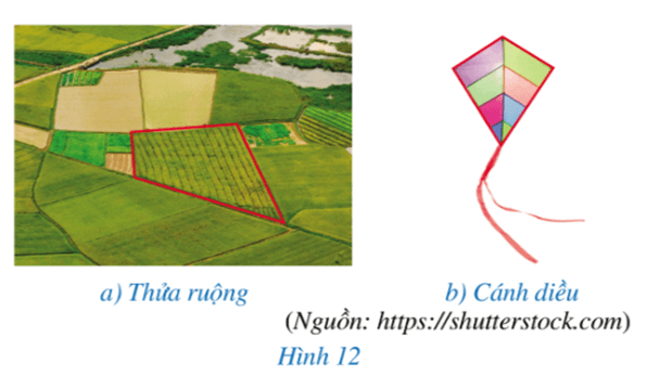 Giáo án Toán 8 Bài 2: Tứ giác | Cánh diều