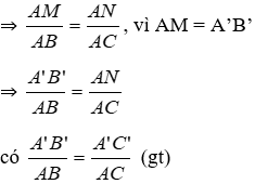 Giáo án Toán 8 Bài 6: Trường hợp đồng dạng thứ hai mới nhất