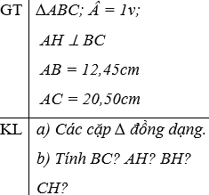 Giáo án Toán 8 Bài 8: Các trường hợp đồng dạng của tam giác vuông mới nhất