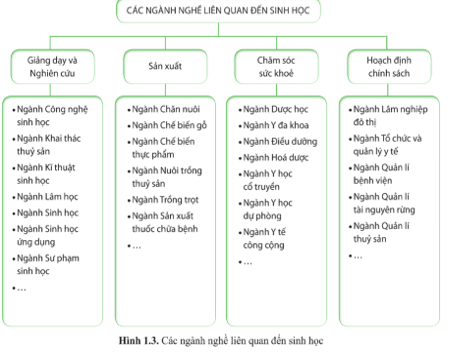 Giáo án Sinh 10 Cánh diều (năm 2023 mới nhất) | Giáo án Sinh học 10