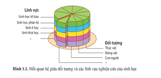 Giáo án Sinh 10 Cánh diều (năm 2023 mới nhất) | Giáo án Sinh học 10