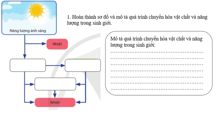 Giáo án Sinh 11 Cánh diều (năm 2023 mới nhất) | Giáo án Sinh học 11