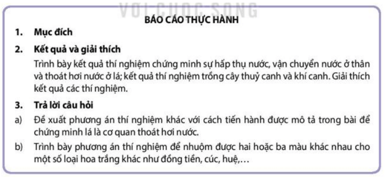 Giáo án Sinh 11 Kết nối tri thức (năm 2023 mới nhất) | Giáo án Sinh học 11