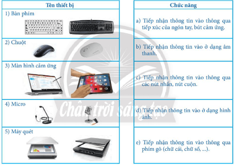 Giáo án Tin học 7 Chân trời sáng tạo (năm 2023 mới nhất) | Giáo án Tin 7