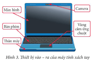 Giáo án Tin học 7 Chân trời sáng tạo (năm 2023 mới nhất) | Giáo án Tin 7