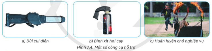 Lý thuyết GDQP 11 Cánh diều Bài 7: Pháp luật về quản lí vũ khí, vật liệu nổ, công cụ hỗ trợ | Giáo dục quốc phòng 11 (ảnh 3)