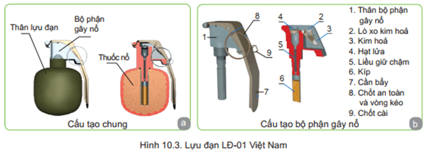 Lý thuyết GDQP 11 Kết nối tri thức Bài 10: Kĩ thuật sử dụng lựu đạn | Giáo dục quốc phòng 11