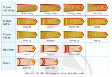 Em hãy quan sát hình 2.3 và cho biết: Những điểm giống nhau và khác nhau giữa các cấp hiệu