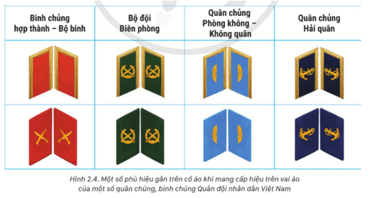 Em hãy mô tả hình phù hiệu của một số phù hiệu gắn trên cổ áo khi mang cấp hiệu trên vai áo