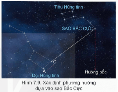 Dựa vào hình 7.9, em hãy sử dụng những viên sôi để xếp hình hoặc vẽ ra giấy