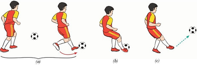 Vận dụng kỹ thuật đá bóng bằng lòng bàn chân vào các trò chơi vận động