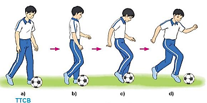 Vận dụng kĩ thuật dẫn bóng bằng mu giữa bàn chân, trò chơi vận động đã học để luyện tập và vui chơi hàng ngày