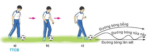 Vận dụng kĩ thuật đá bóng bằng lòng bàn chân, trò chơi vận động đã học để luyện tập và vui chơi hàng ngày