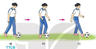 Khi dẫn bóng bằng lòng bàn chân, để bóng lăn đúng hướng phải thực hiện đúng những yêu cầu nào