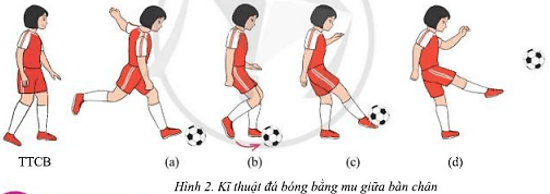 Em hãy nêu cách thực hiện kĩ thuật đá bóng bằng mu trong bàn chân và mu giữa bàn chân
