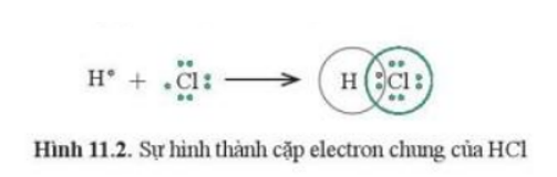 Trong phân tử HCl, lớp electron ngoài cùng của Cl và H lần lượt là bao nhiêu electron?