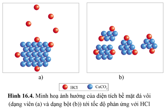 Quan sát hình 16.4, giải thích vì sao khi dùng đá vôi dạng bột