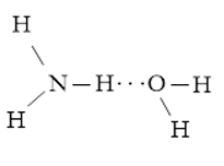 Viết các khả năng tạo thành liên kết hydrogen giữa một phân tử H2O