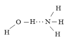 Viết các khả năng tạo thành liên kết hydrogen giữa một phân tử H2O
