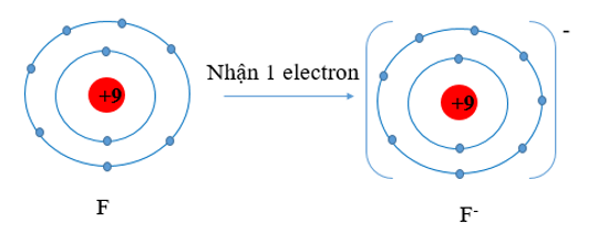 Hãy dự đoán xu hướng nhường, nhận electron của mỗi nguyên tử trong từng cặp nguyên tử sau