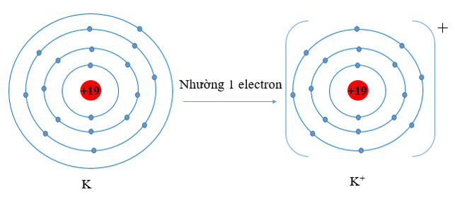 Hãy dự đoán xu hướng nhường, nhận electron của mỗi nguyên tử trong từng cặp nguyên tử sau