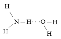 Vẽ các liên kết hydrogen được hình thành giữa H2O với mỗi phân tử NH3, C2H5OH