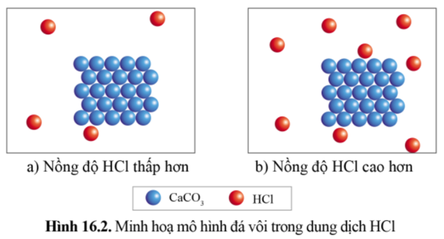 Cho hai mẩu đá vôi từ cùng một mẫu có kích thước xấp xỉ nhau