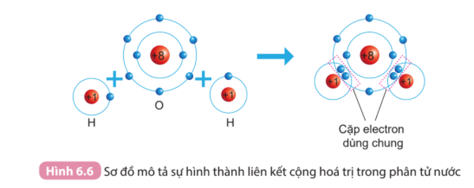 Giải thích sự hình thành liên kết trong phân tử H2O bằng cách áp dụng quy tắc (ảnh 1)