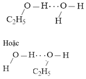 Biểu diễn liên kết hydrogen giữa các phân tử (ảnh 1)