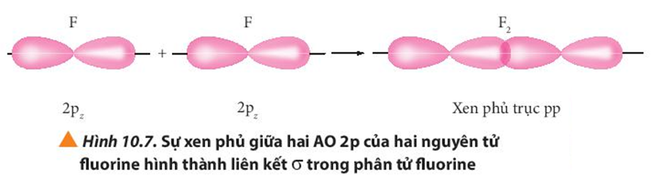 Sự xen phủ giữa hai orbital p trong trường hợp nào sẽ tạo thành liên kết (ảnh 1)