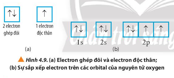 Quan sát Hình 4.9, hãy cho biết nguyên tử oxygen có bao nhiêu electron (ảnh 1)
