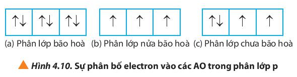 Quan sát Hình 4.10, hãy nhận xét số lượng electron độc thân ở mỗi trường hợp (ảnh 1)