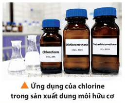 Nhận xét vai trò của halogen trong đời sống, sản xuất và y tế